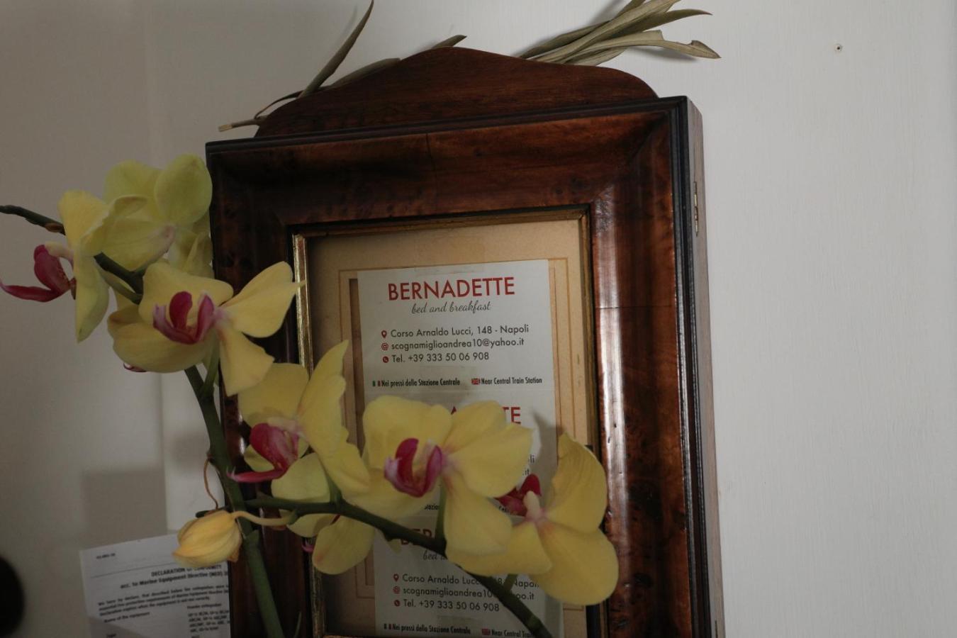 ナポリ Bernadette Bed & Breakfast エクステリア 写真